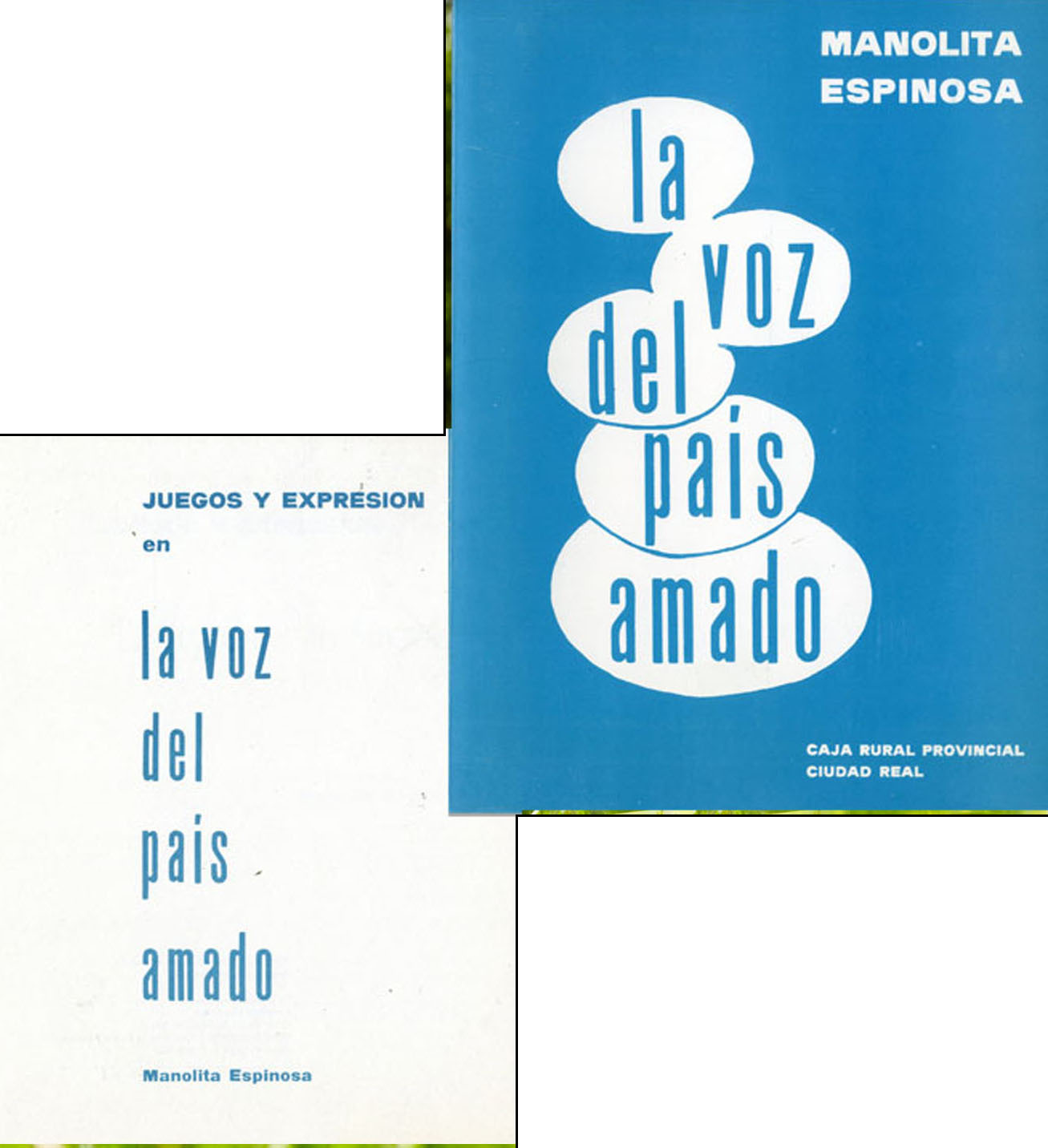 lavoz