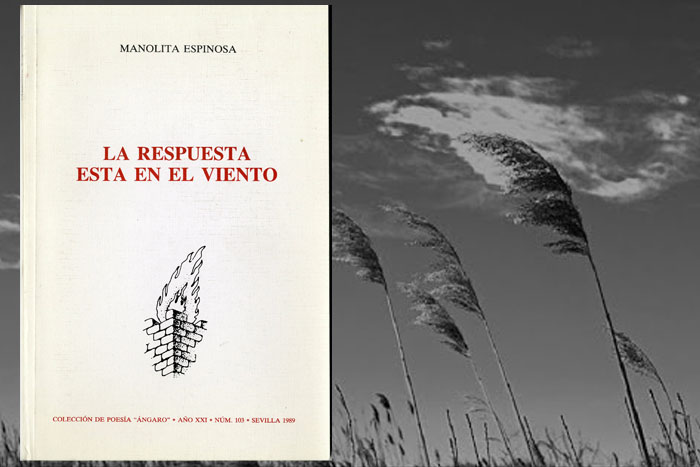 la respuesta esta en el viento poemas