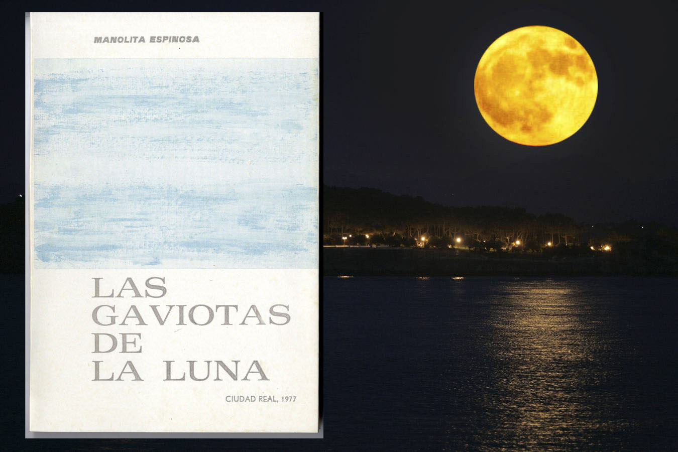 las gaviotas de la luna
