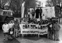 Clic para aumentar imagen